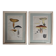 Two old engravings of watercolor mushrooms nineteenth century after G. Bernard