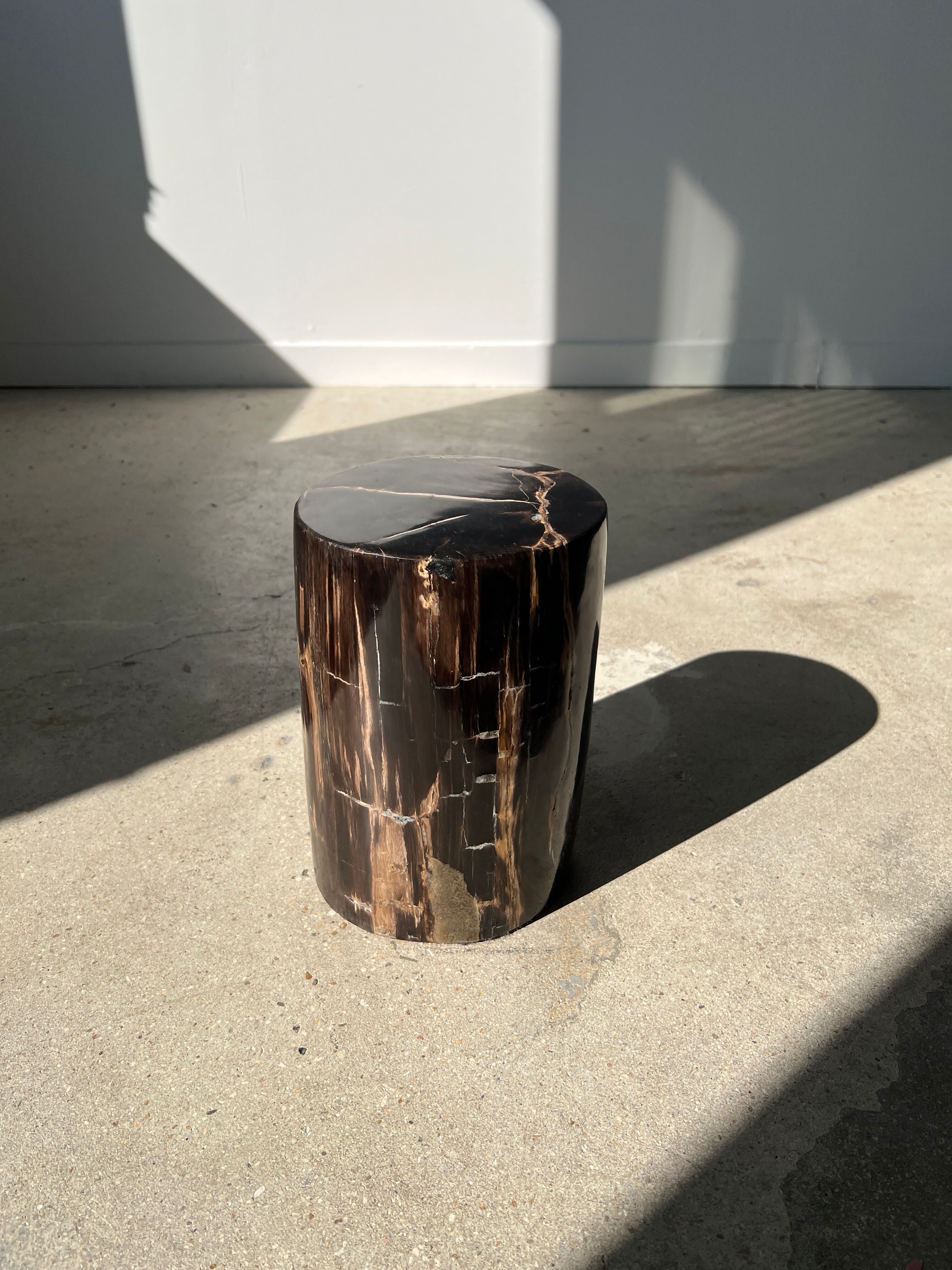 Side table in black petrified wood with light streaks h: 27,5cm d:18,5cm