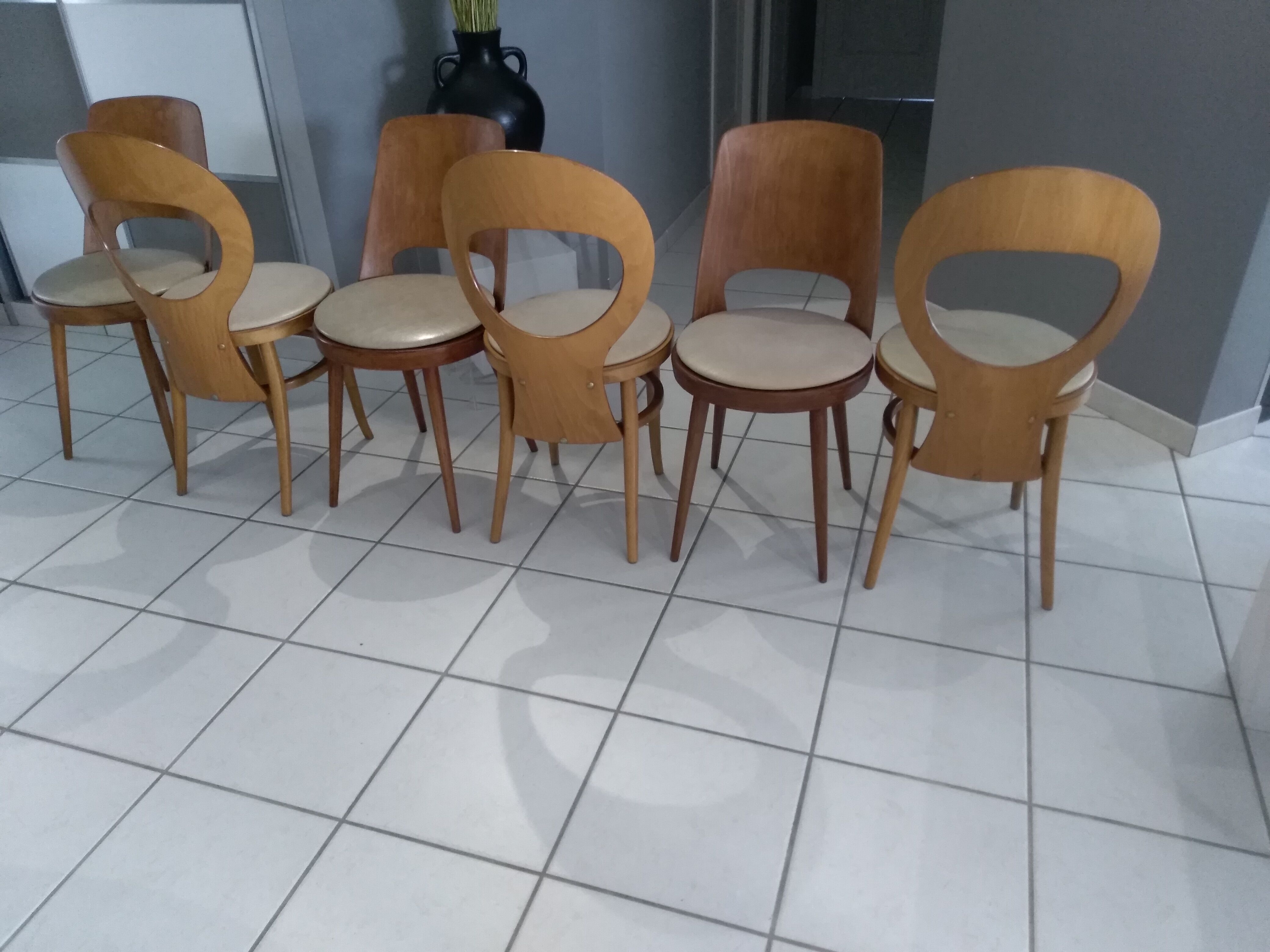 Suite of 6 chairs Baumann model Mondor and Seagull 1960