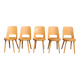 5 BAUMANN “MONDOR” light beech chairs