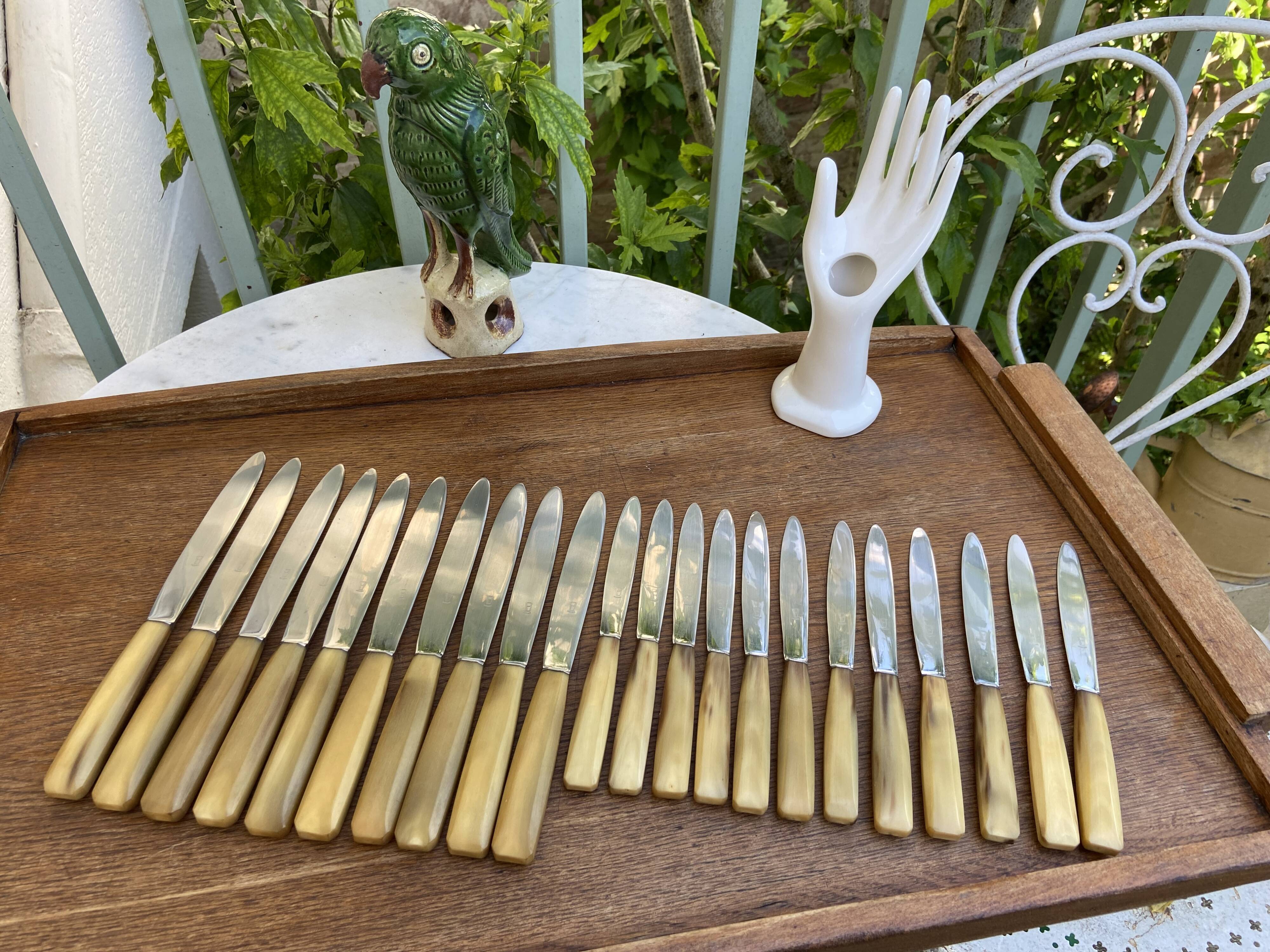 Set of 10 knives and 12 vintage horn knives