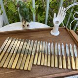 Set of 10 knives and 12 vintage horn knives
