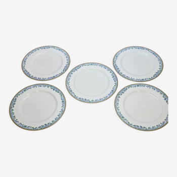5 grandes assiettes plates guy degrenne modèle toscane porcelaine limoges