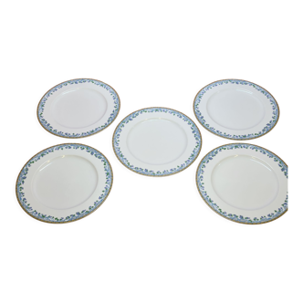 5 large flat plates guy degrenne model tuscany porcelain limoges