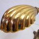 Lampe "coquillage" Art Nouveau