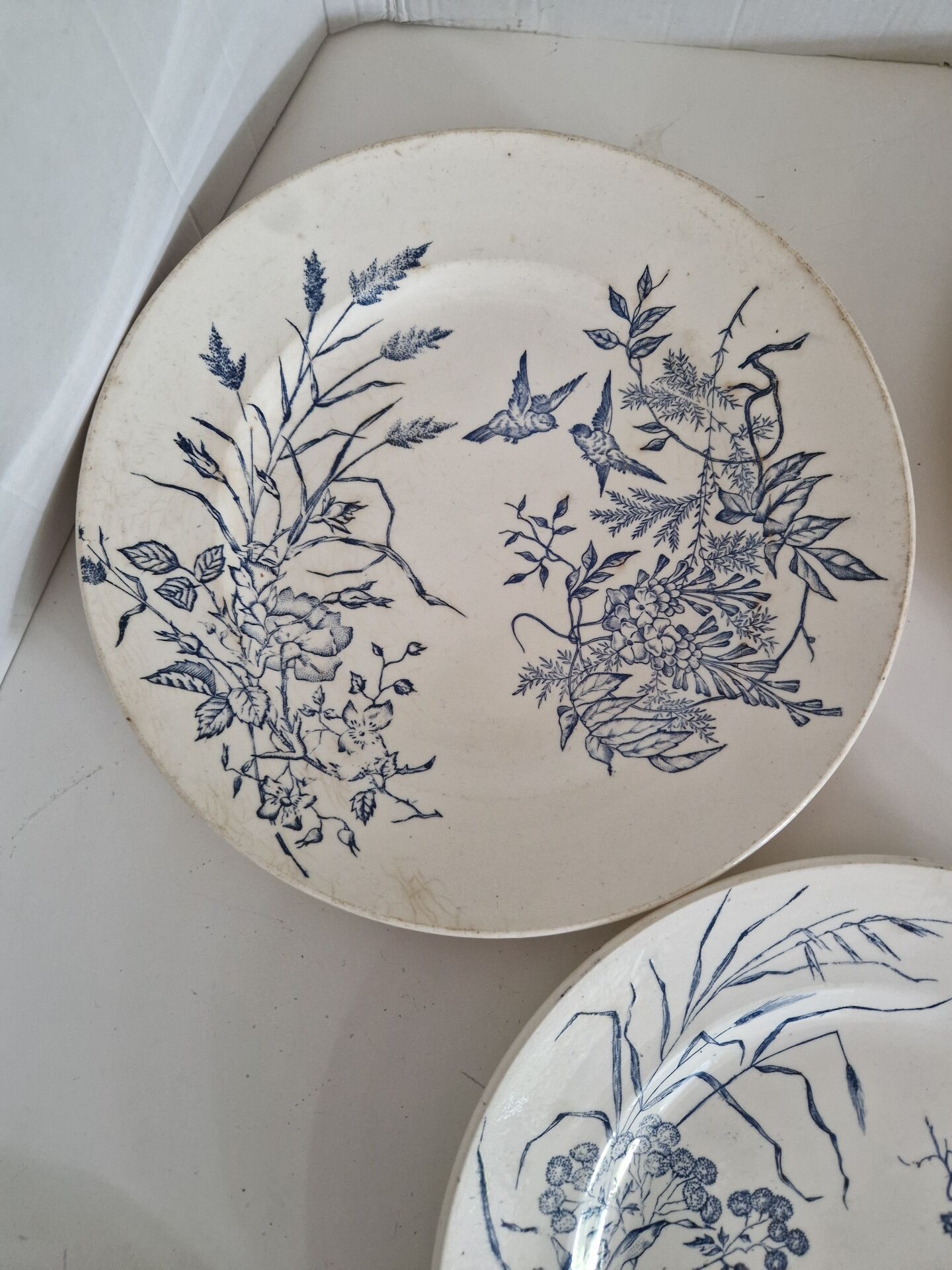 Lot De 9 Assiettes Plates Terre De Fer