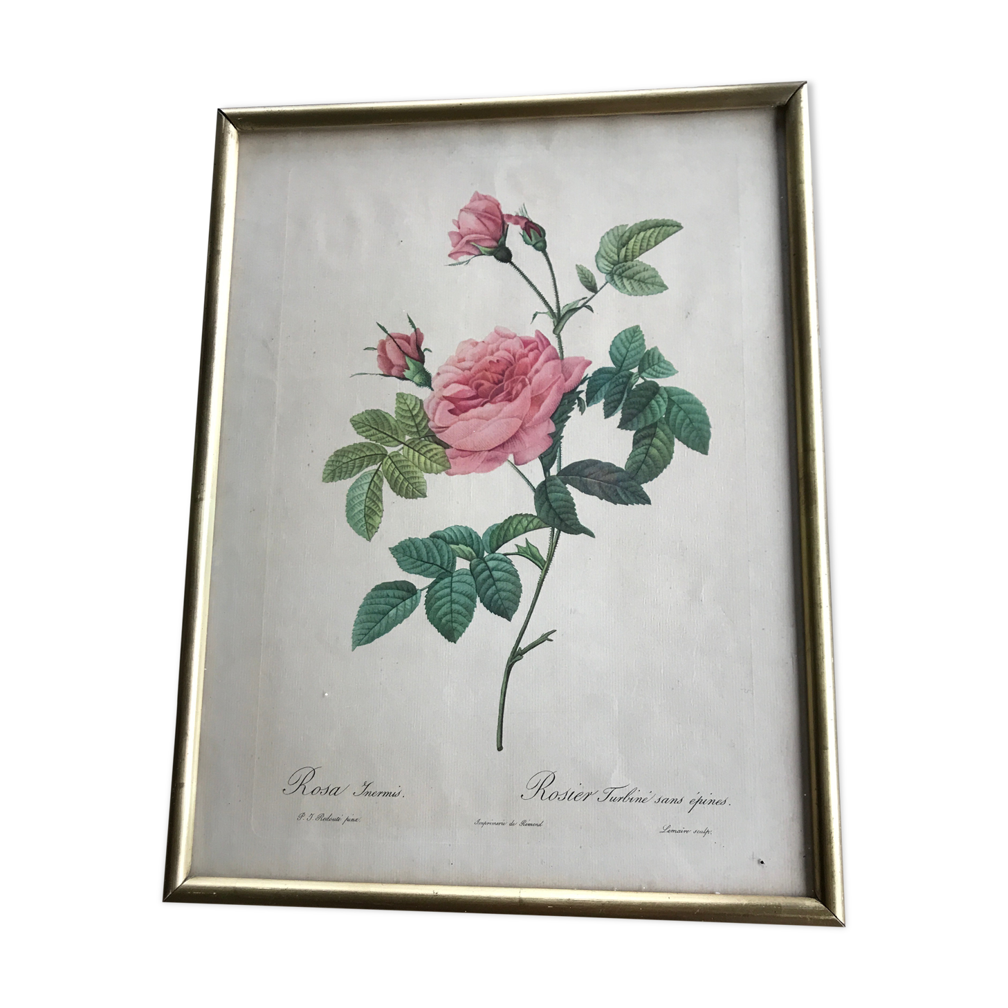 Dreaded Frame and Lithography