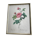 Dreaded Frame and Lithography