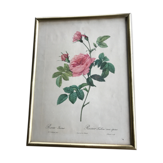 Dreaded Frame and Lithography