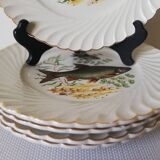 Assiette