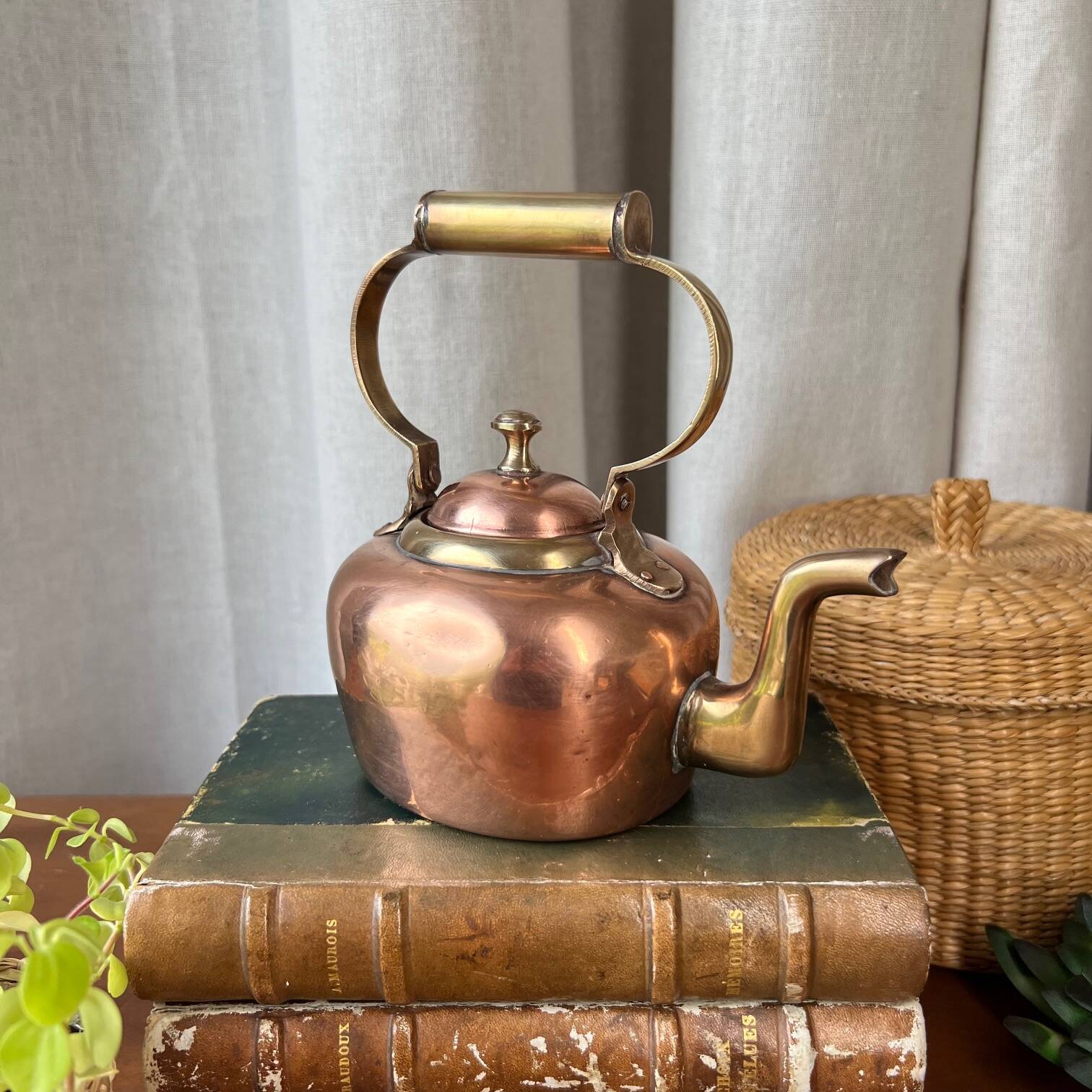 Small copper and brass teapot
