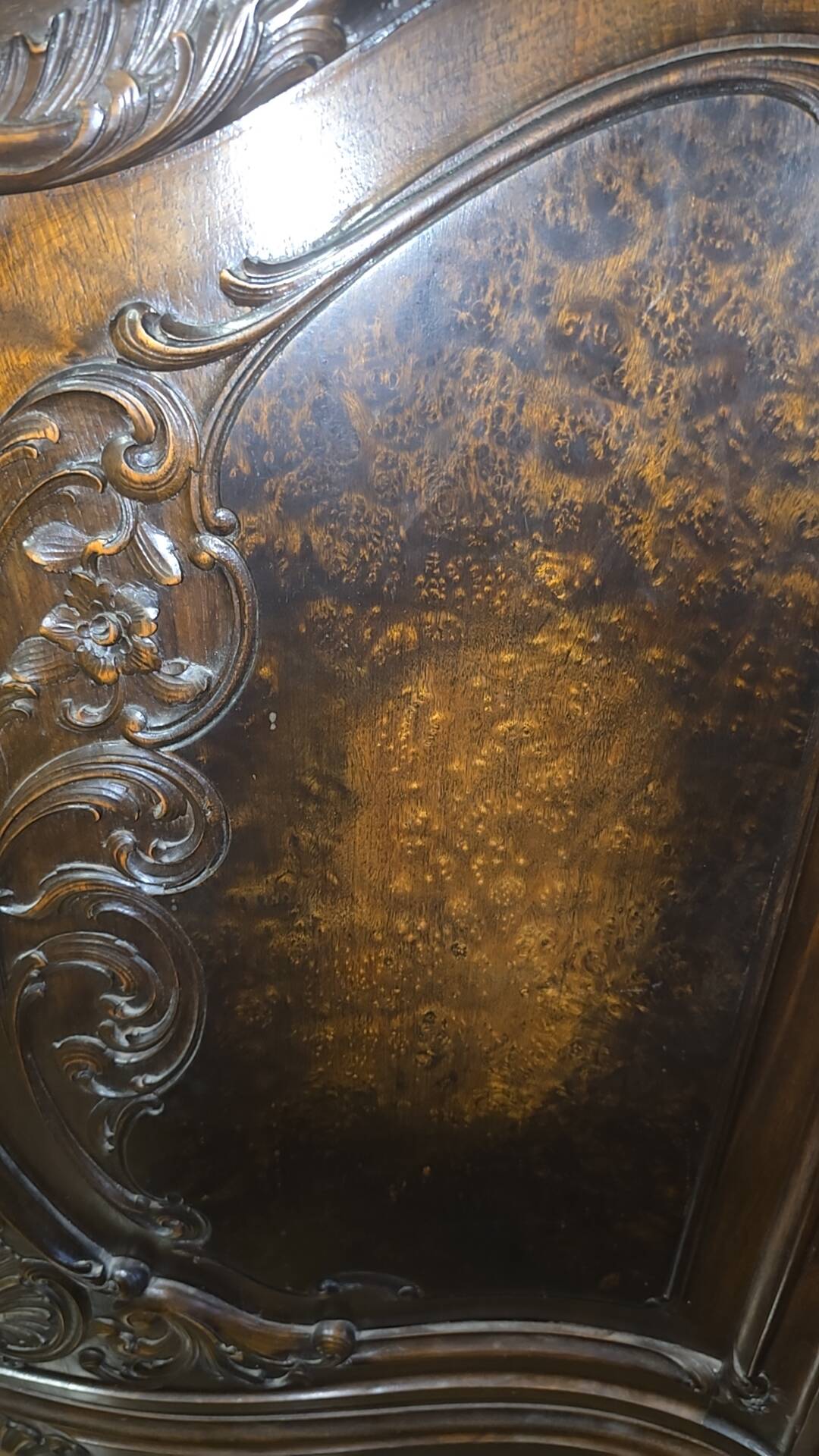 Unique burl walnut display case