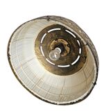 Amsterdamse School / hanging lamp / copper 1920s / Johanna van Eijbergen