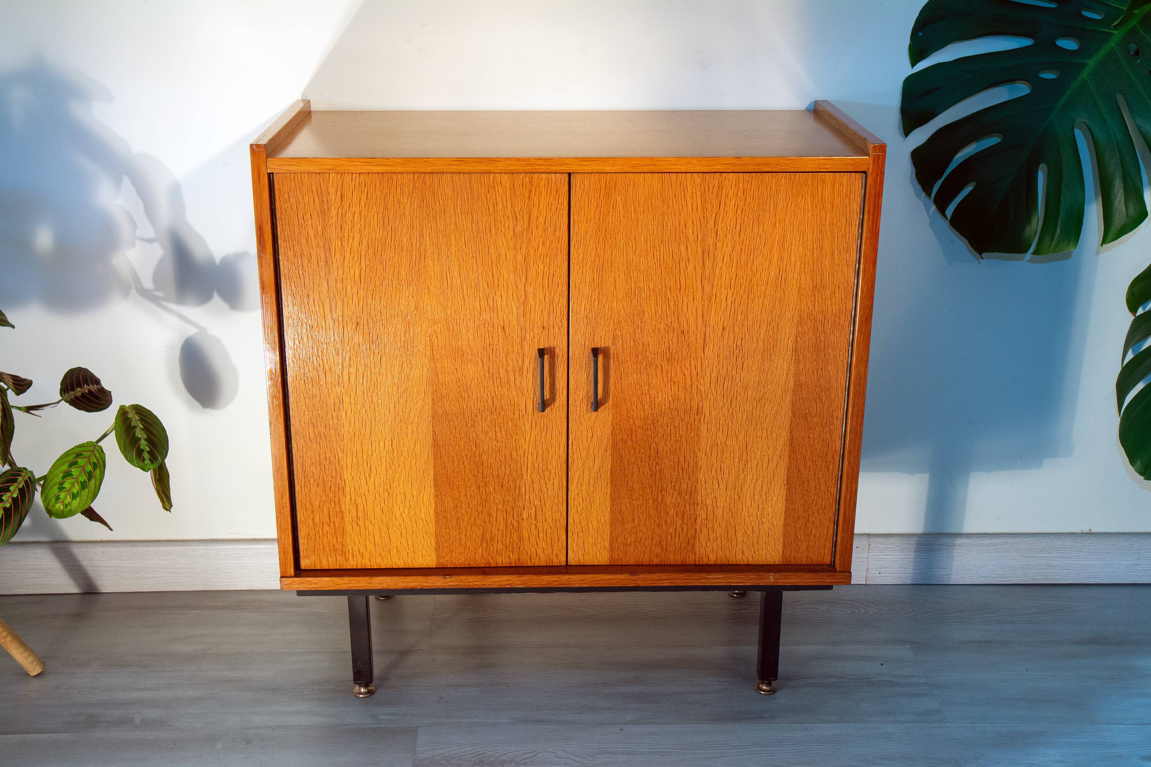 Modernist low sideboard 1960