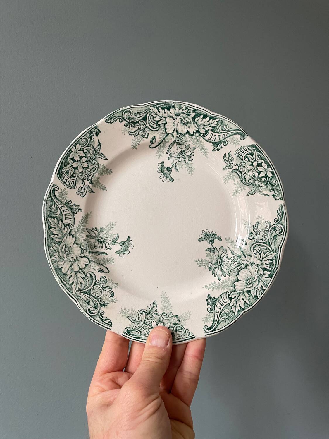 Series of 12 Terre de Fer flat plates in Onnaing earthenware, Sylvia model