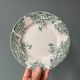 Series of 12 Terre de Fer flat plates in Onnaing earthenware, Sylvia model