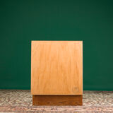 Danish Teak Cabinet, 1970s