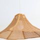 Vintage cane pendant light