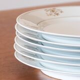 6 antique Bavarian porcelain plates by Seltmann Weiden