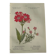 Naturalist Plate – 19th Century Botanical Engraving, Double-Sided