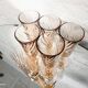 6 Rosaline champagne flutes