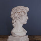 David Plaster Bust