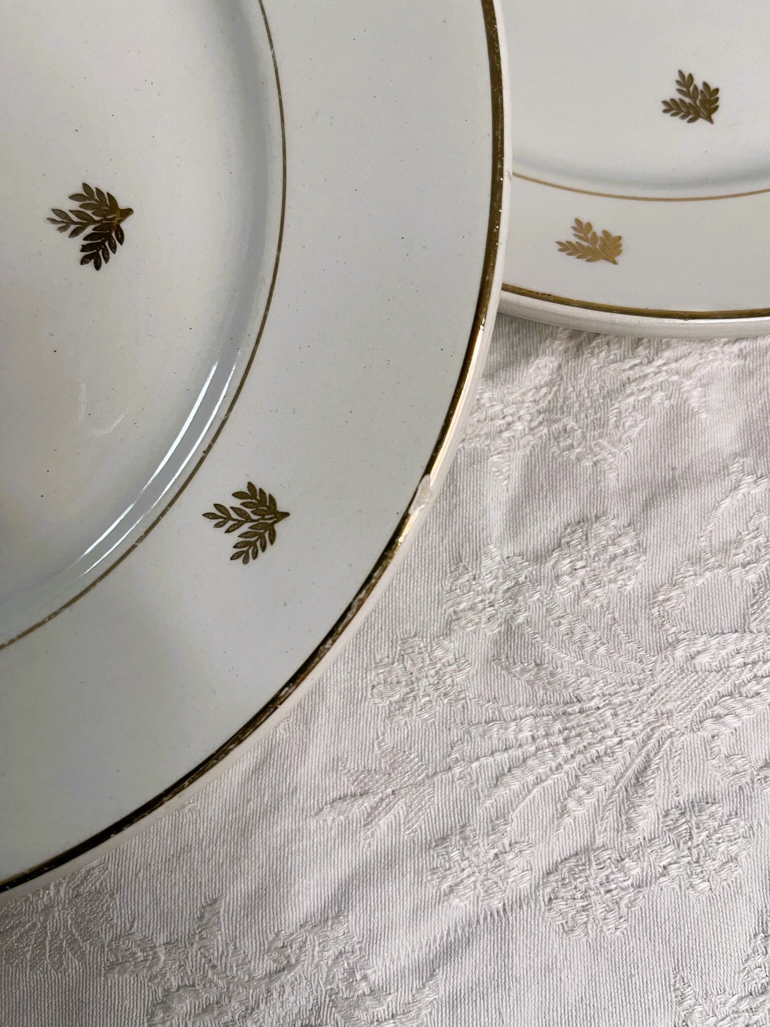11 plates in antique earthenware decorated with golden leaves and golden border
