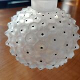Lalique Cactus 1