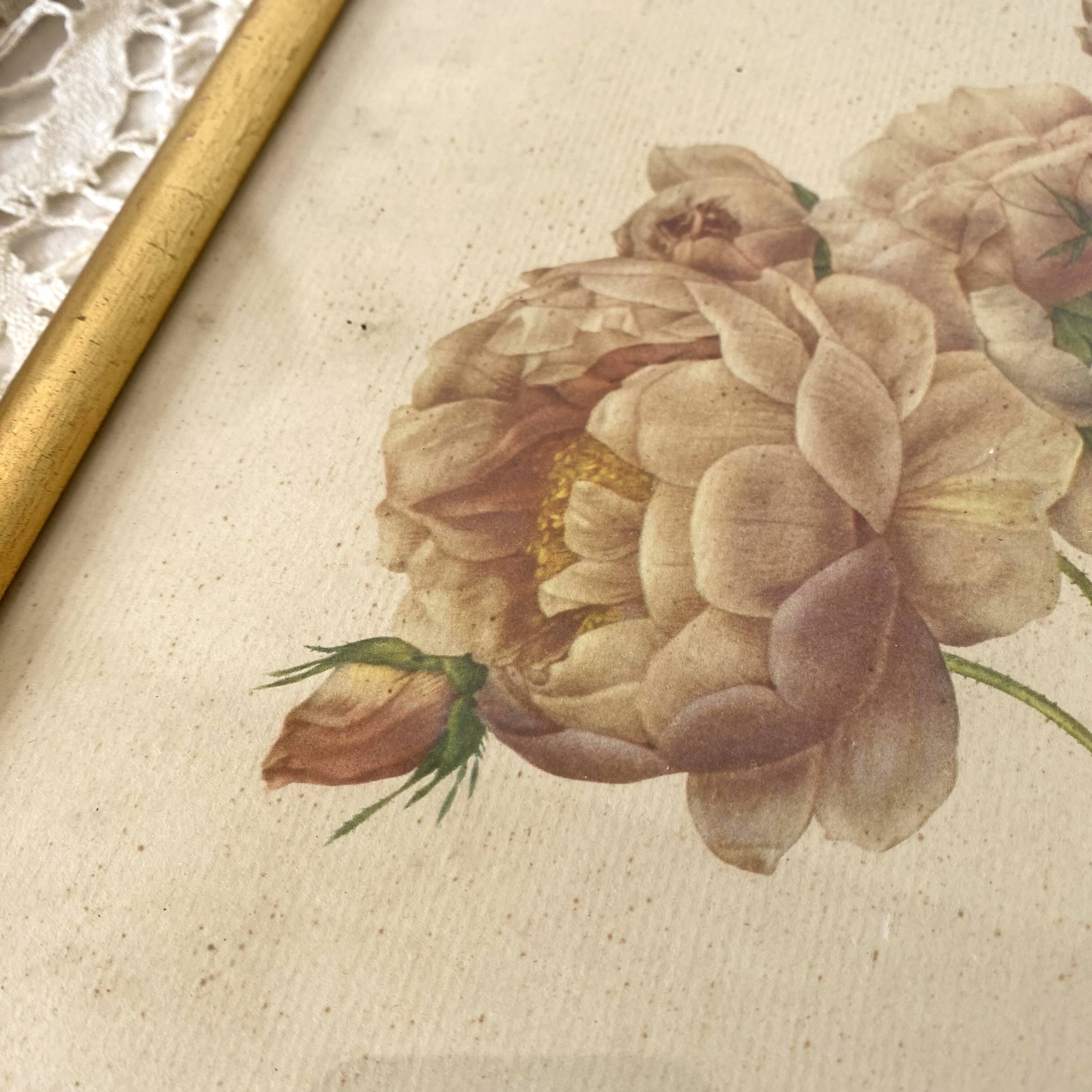 Framed pink botanical board