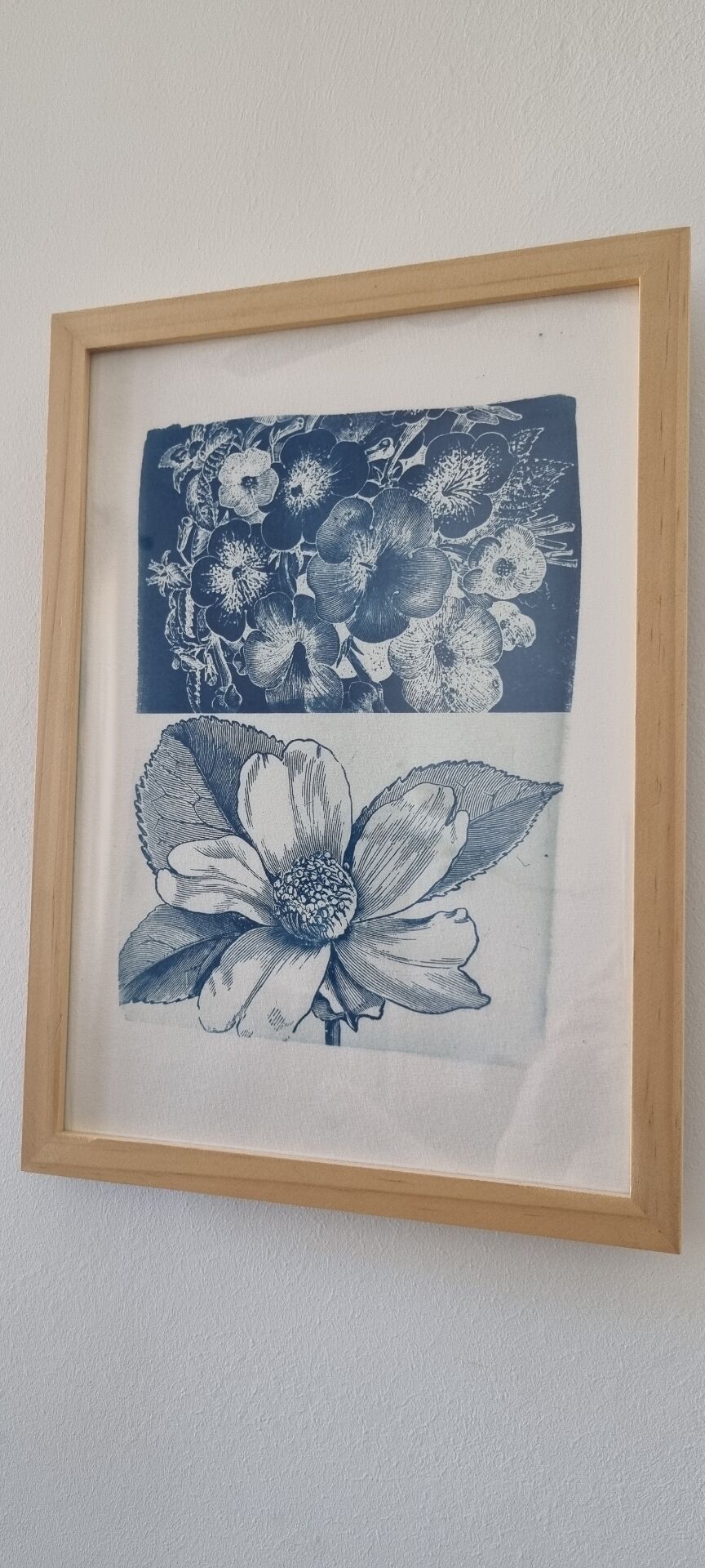 Framed botanical cyanotype tableau