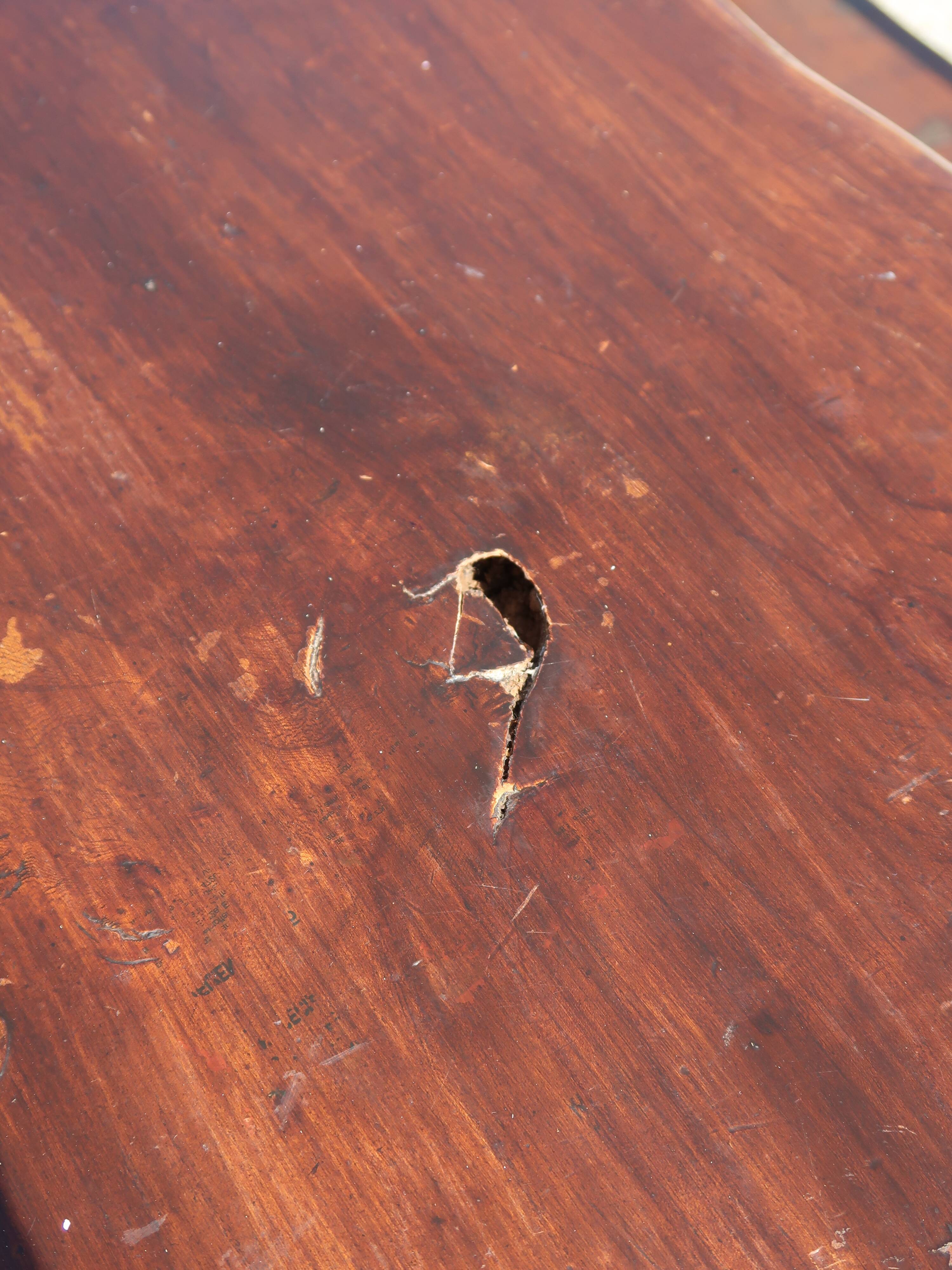 Dining table + 2 brutalist benches in vintage 1950s elm.