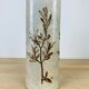 Herbarium vase by Raymonde Leduc in Vallauris 25 cm
