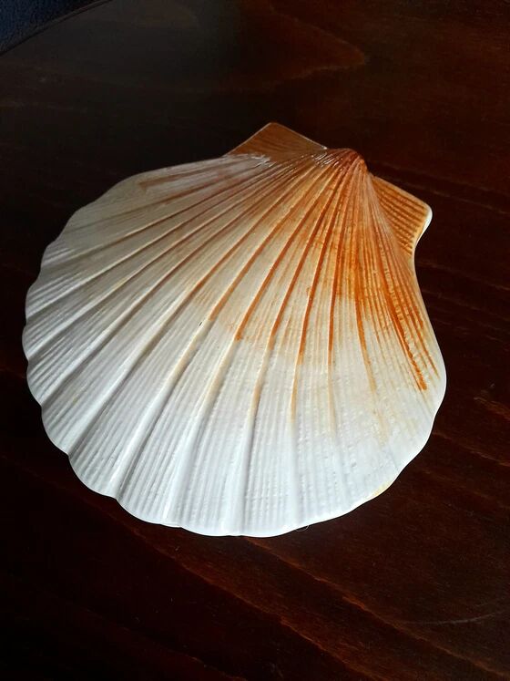 Ceramic shell 1960