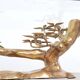 Willy Daro brass Bonsai and glass coffee table, 1970s