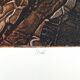 Lithograph of "Israel" by Joelle SERVE, signed