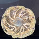 Cendrier Murano