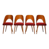 Antonín Šuman dining chairs, Tatra Nábytok, Czechoslovakia 1960s