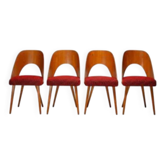 Antonín Šuman dining chairs, Tatra Nábytok, Czechoslovakia 1960s