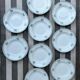 Ensemble de 9 assiettes Terre de fer fleurs vertes St Amand