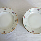 Set de 20 assiettes plates et creuses vintage CHR