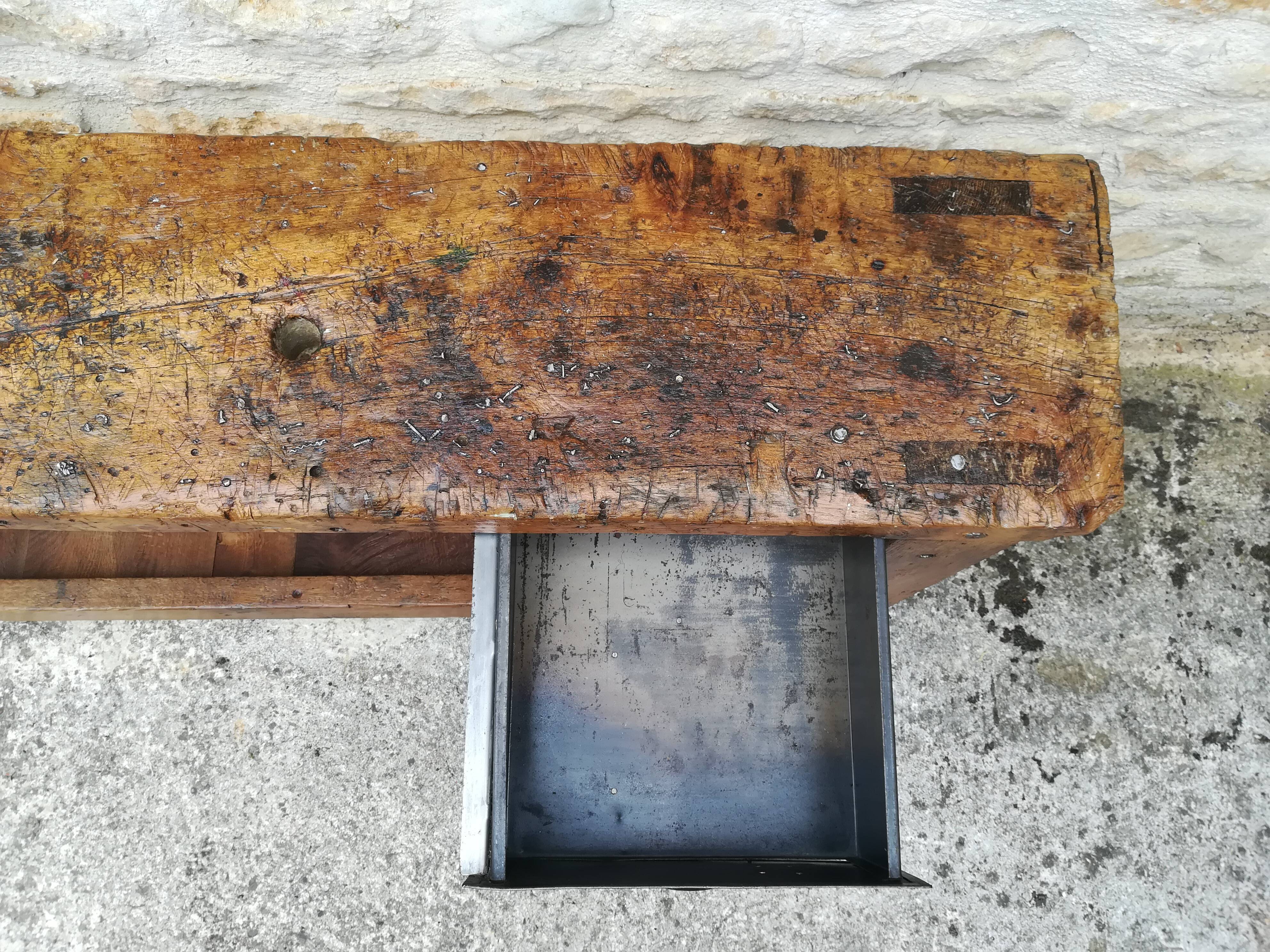 Established in elm and oak