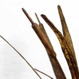 Golden wheat sheaf lamp base
