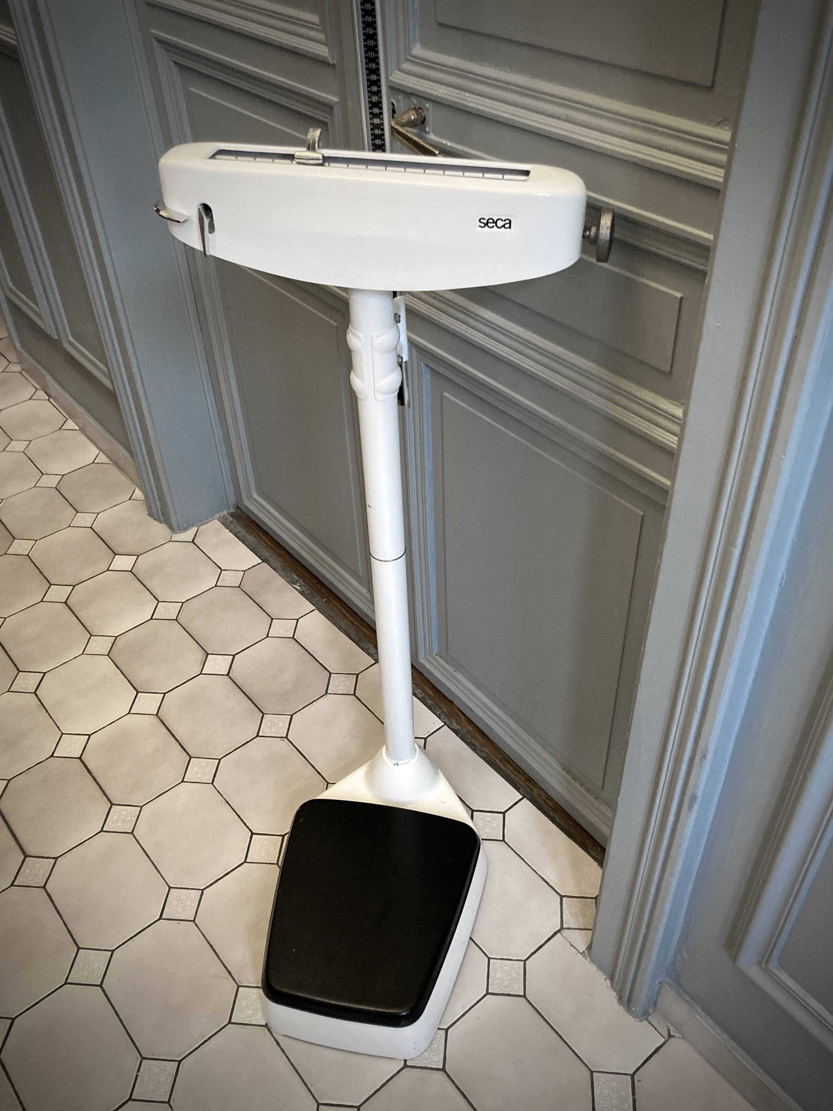 Personal scale and medicine measuring rod