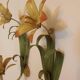 Floral single-arm wall lights, wall sconces, toleware, French vintage enamel.