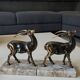 Art Deco Bookends Pair / Antelopes / Regule / Marble