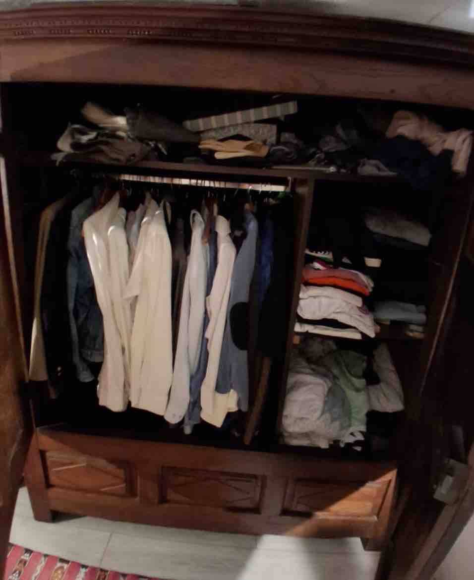 18th-century wardrobe, in walnut, minimalist style.