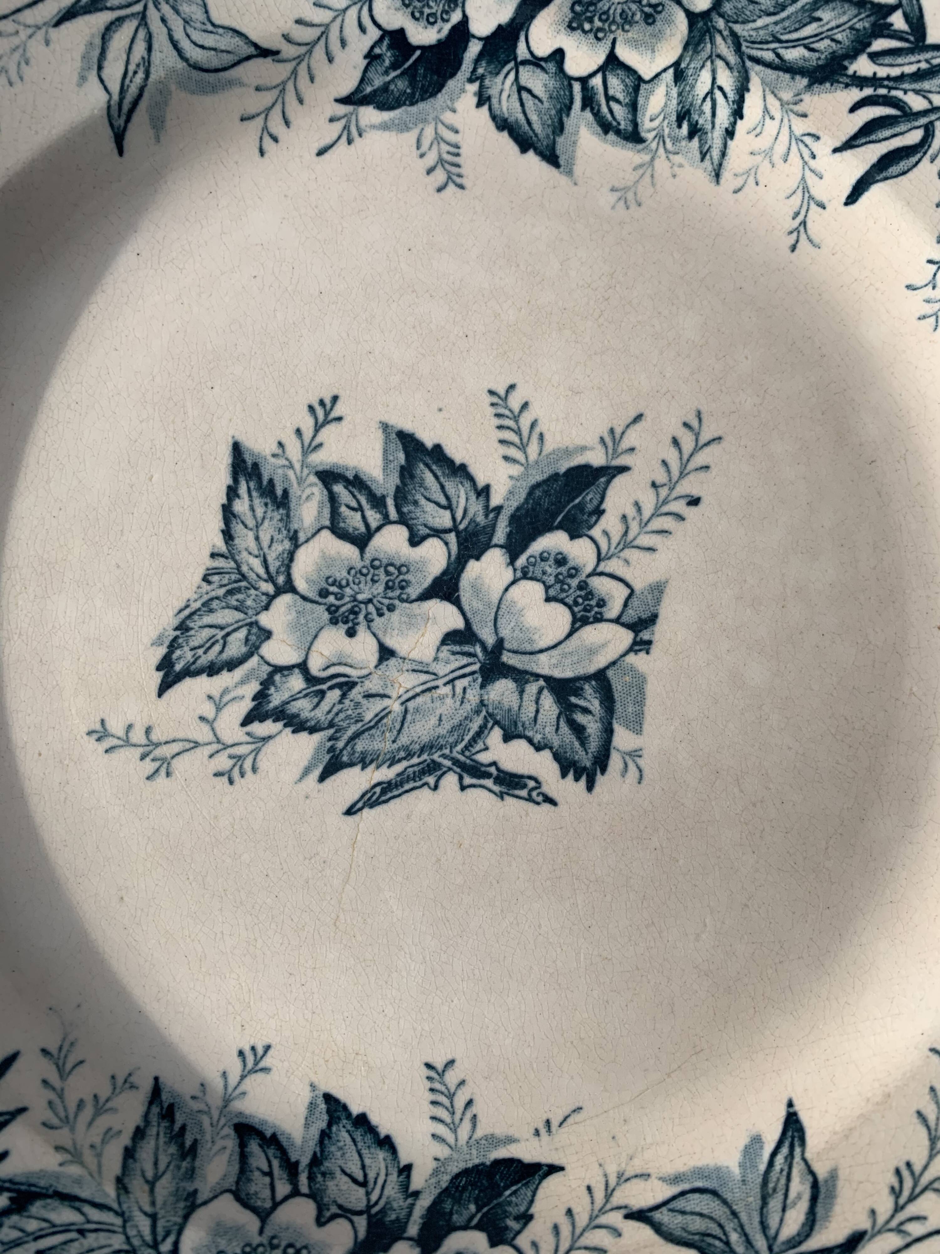 8 plates and an old compoter Terre de Fer HB and Co.