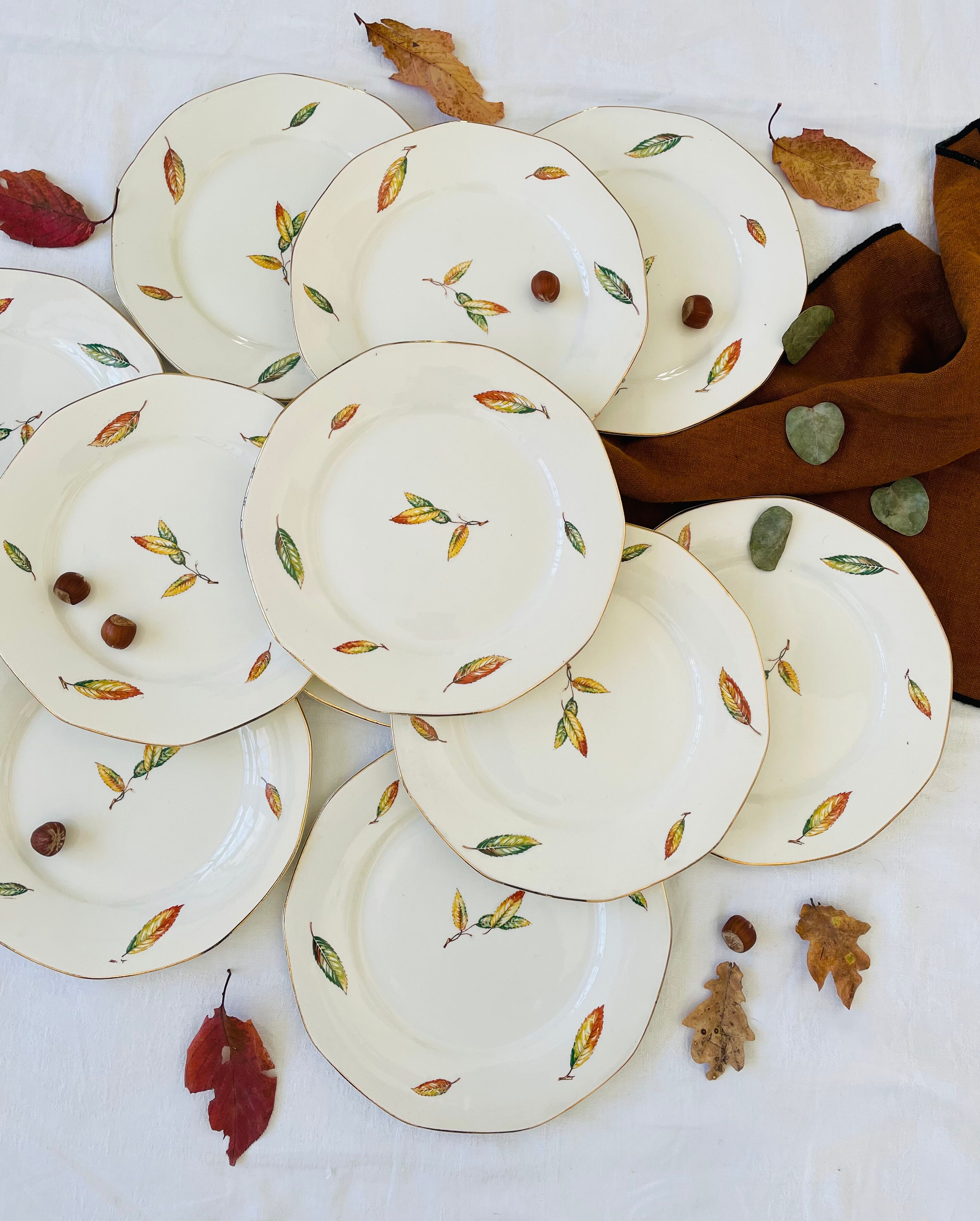 Set of 11 vintage flat plates Digoin Sarreguemines model Nemours