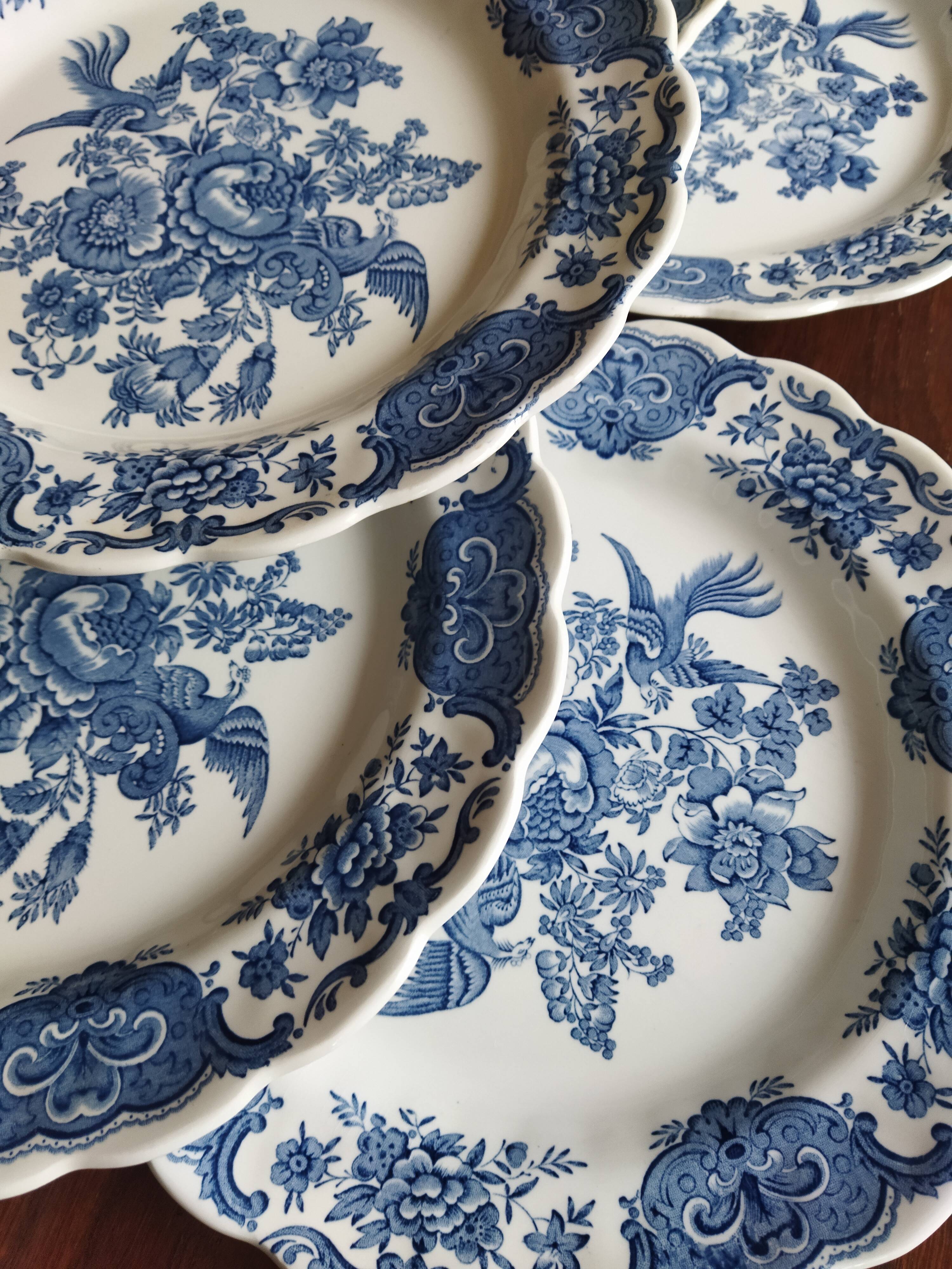 12 English dinner plates Ridgway "Windsor" ("Asiatic Pheasants") blue & white