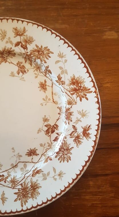 Set of 5 plates in Terre de Fer Creil & Montereau model Mignardise